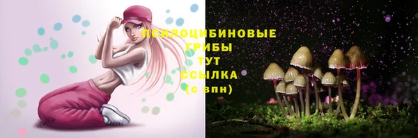хмурый Балахна