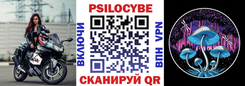 Псилоцибиновые грибы Cubensis  где продают наркотики  Белинский 